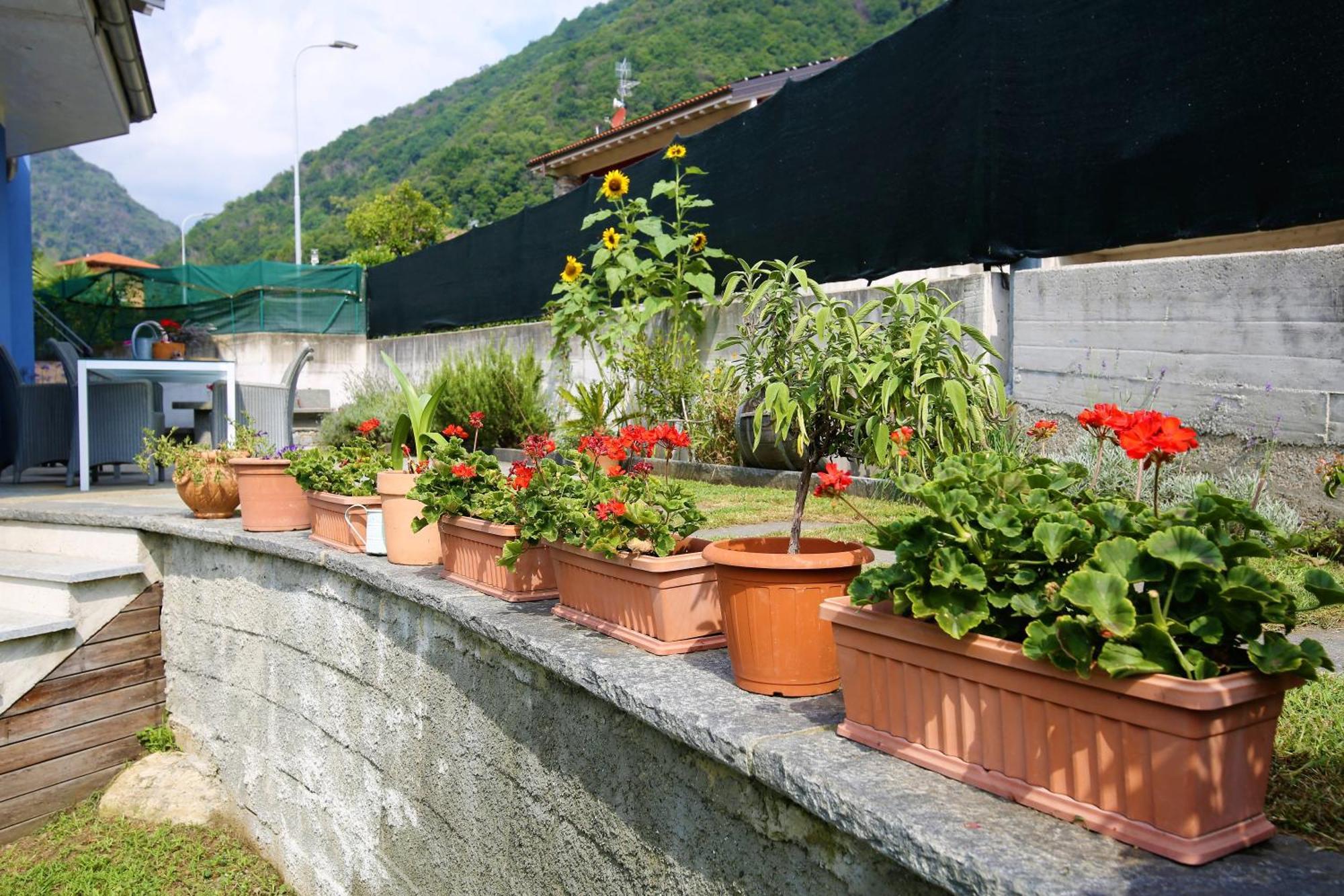 Casa Alice Apartment Cannobio Exterior photo